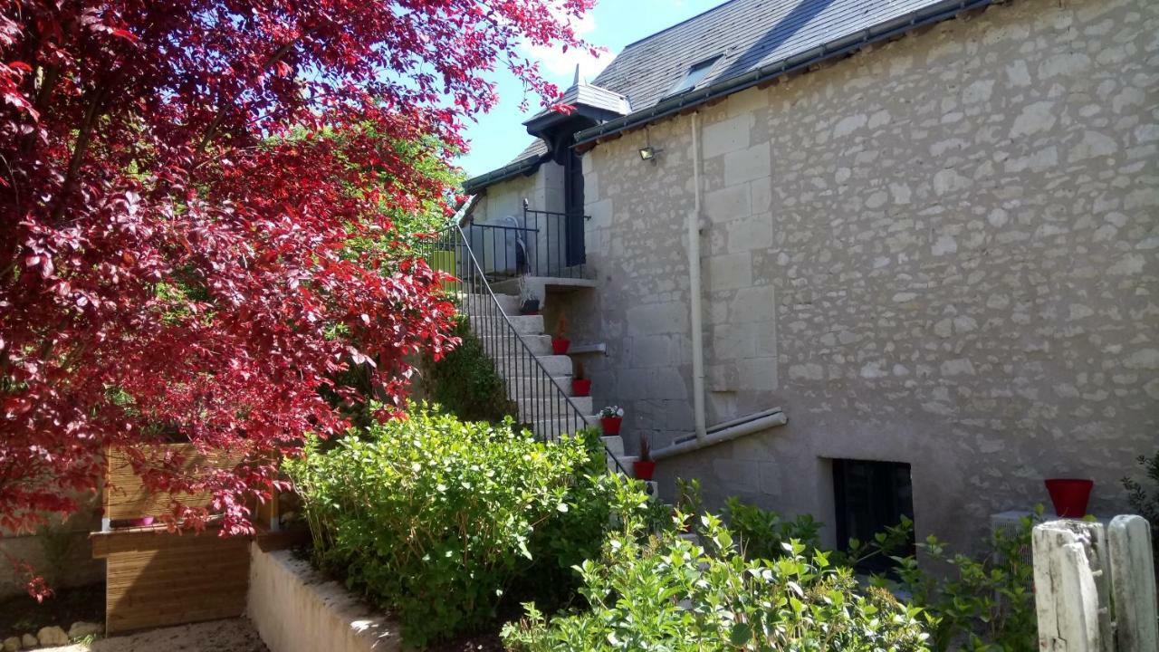 Gites Et Chambres Des Coteaux Sainte-Maure-de-Touraine Dış mekan fotoğraf
